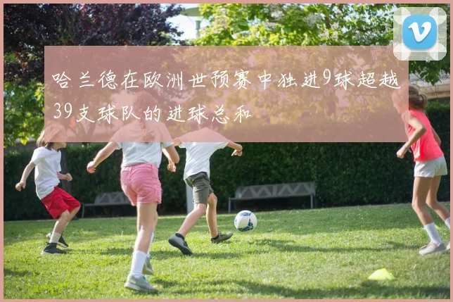 哈兰德在欧洲世预赛中独进9球超越39支球队的进球总和