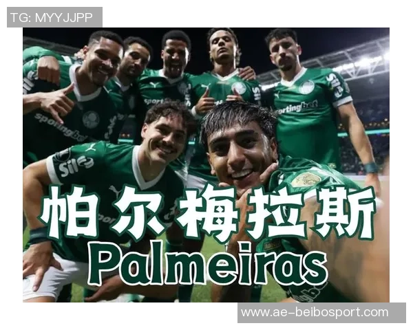 帕尔梅拉斯坚决拒绝1600万欧元报价继续留住小将爱德华多 帕尔梅拉斯坚决拒绝1600万欧元报价继续留住小将爱德华多