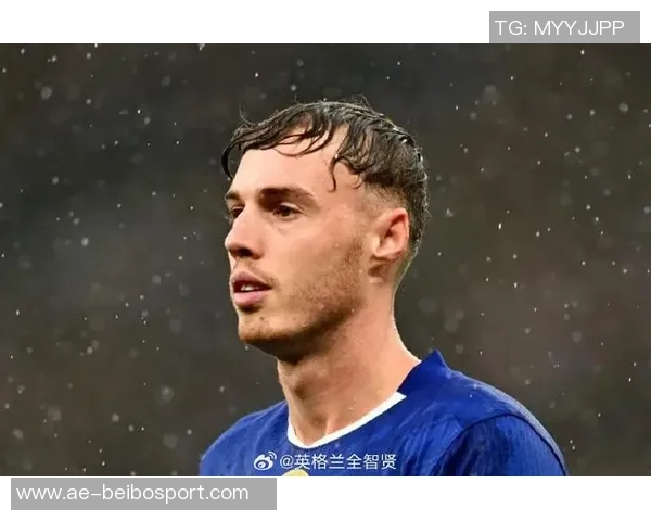 帕尔默因腹股沟伤势缺阵至11月将缺席至少四场重要比赛