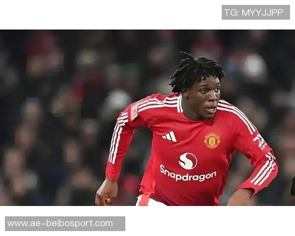 意媒报道囧叔希望引进强力中锋大菲尔莱万齐尔克泽成热门人选